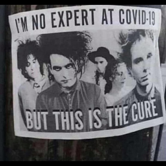 Meet your Posher, William - Picture 1 of 1